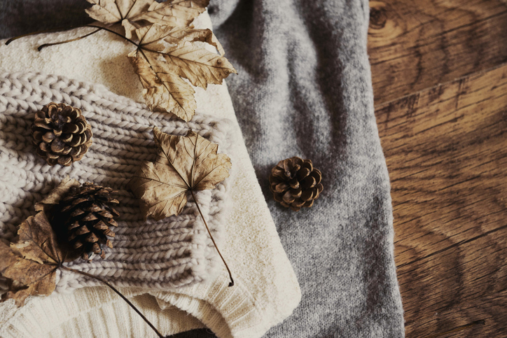 Sweaters with autumn pinecones and leaves