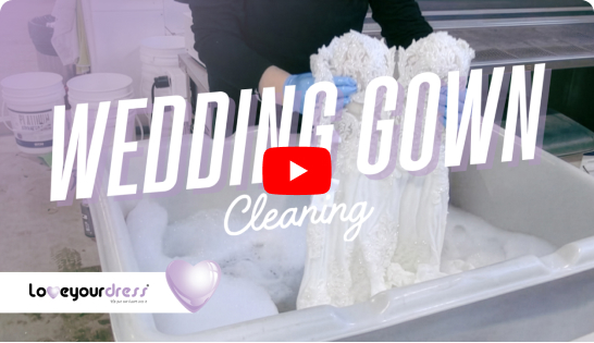 Team Introduction & Services